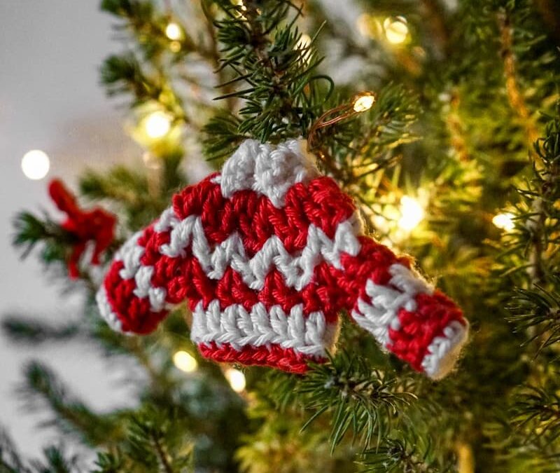 Lettre d’information – Novembre 2024